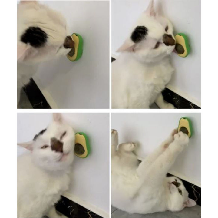 อโวคาโด้แคทนิปติดผนัง-catnip-แคทมิ้น-gall-fruit-ขนมแมว-ของเล่นแมว