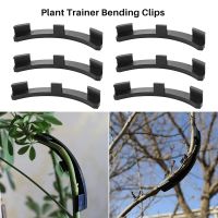 Fruit Tree Shaper Branch Bender Plant Trainer Bending Clips Bonsai Shaped Clip Bending Tool