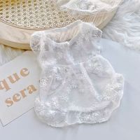 White Lace Embroidery Dress Dog Clothes Elegant Party Wedding Small Dogs Clothing Cat Korean Fashion Cute Summer Girl Pet Items Dresses