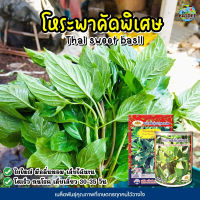 เมล็ดโหระพา คัดพิเศษ Thai sweet basil เมล็ดพันธุ์โหระพา โหระพา เมล็ดผักสวนครัว เมล็ดพันธุ์ผัก ตราภูเขาทอง