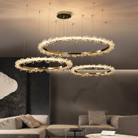 Nordic Modern Minimalist Luxury Indoor Lighting Shop Kitchen Living Room Chandelier Electroplating Ring LED Lighting Fixtures