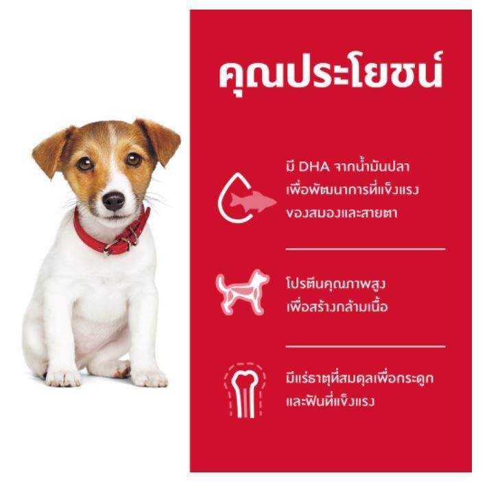 หมดกังวน-จัดส่งฟรี-hills-science-diet-puppy-small-bites-อาหารลูกสุนัข-หรือแม่สุนัขตั้งท้อง-ให้นม-ขนาดเม็ดเล็ก-ขนาด-7-03-kg-12-kg