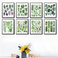 Botanical House Plant ภาพวาดผ้าใบการศึกษาโปสเตอร์ใบพิมพ์ Wall Art ภาพ Kids Room Decor Plant Lovers Gift