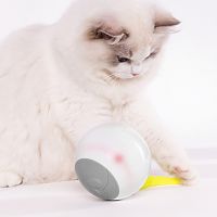 Smart Cat Toys USB Electric Pet Toys Magic Roller Ball Cat LED Rolling Flash Ball Toy Automatic Rotating Toy for Cat Dog Toys