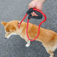 Dog Leash running walk train for large small pets Leashes dogs leash rope nylon Tenacity 4 colors 3 sizes