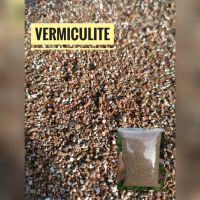 เวอร์มิคูไลท์ Vermiculite ขนาด 2-4 mm. บรรจุ 4 ลิตร. วัสดุเพาะ วัสดุปลูก แคตตัส Cactus