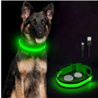 ❒❒♞ Led Glowing Dog Collar Luminous Collar Adjustable Night Light Harness Dog Leash For Girl Small Dogs Cat Pet Safety Accessories