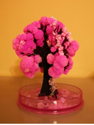 90mm Pink Desktop Cherry Blossom Cool ThumbsUp Magic Japanese Sakura Tree Brand Newly Made in Japan Growing Paper Trees Kids Toy
