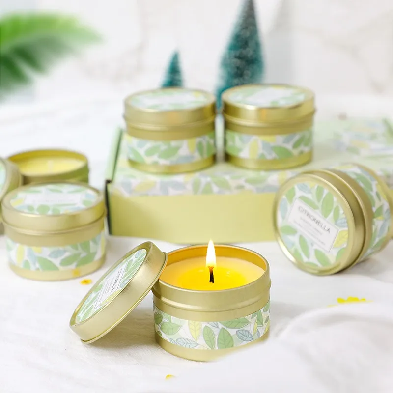 Update 137+ decorative citronella candles super hot noithatsi.vn