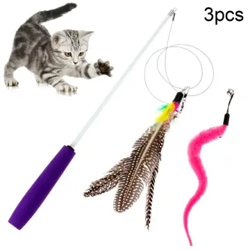  5 Pcs Replacement Dragonfly for Interactive Cat and Kitten Toy  Wands Cat Entertainment Toy : Pet Supplies