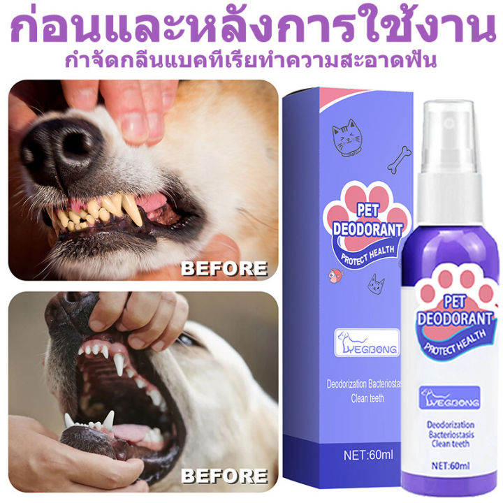 แนะนำจากหมอสัตว์เสี้ยง-yegbong-น้ำยาดับกลิ่นปากแมว-60ml-น้ำยาดับกลิ่นปากสุนัข-ป้องกันโรคในช่องปากของสัตว์เลี้ยง-ขจัดฟันคราบพลัคแคลคูลัสทันตกรรมใช้ได้ทั้งแมวและสุนัข-ดับกลิ่นปากแมว-ดับกลิ่นปากหมา-สเปรย