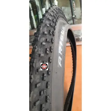 Arisun big fatty store tire