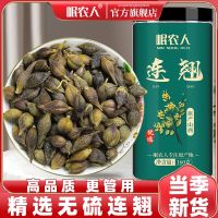 ิมพ์สายน้ำผึ้ง Forsythia วัสดุยาจีนของแท้สำหรับยาแผนจีน Qingqiao Huangqiao Xiao Old Qiao สามารถใช้ป่าชะเอม Forsythia ชาสายน้ำผึ้ง