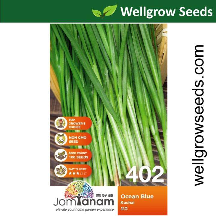 Chives Ocean Blue (100sds) Kuchai Jom Tanam by Crop Power JT402 韭菜 | Lazada