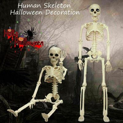40cm Poseable Full Human Skeleton Prop Halloween Party Decoration Haunted House Props Graveyard Decor