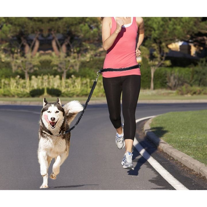 hot-dogs-leash-waist-rope-adjustable-hand-free-dog-harness-collar-pet-walking-running-jogging-lead-waist-belt-chest-strap