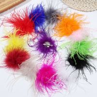 Luxury Colorful Jewelry Accessory Men Women Ostrich Feather Brooch Brooches Lapel Pins Scarf Clip