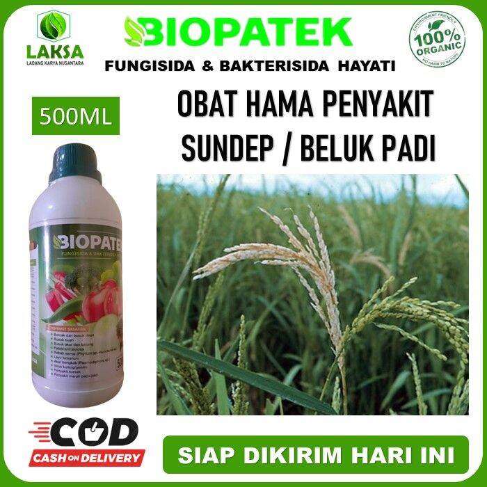 BIOPATEK 500 ML Obat Sundep Beluk Padi Biopatek Obat Semprot Penyakit