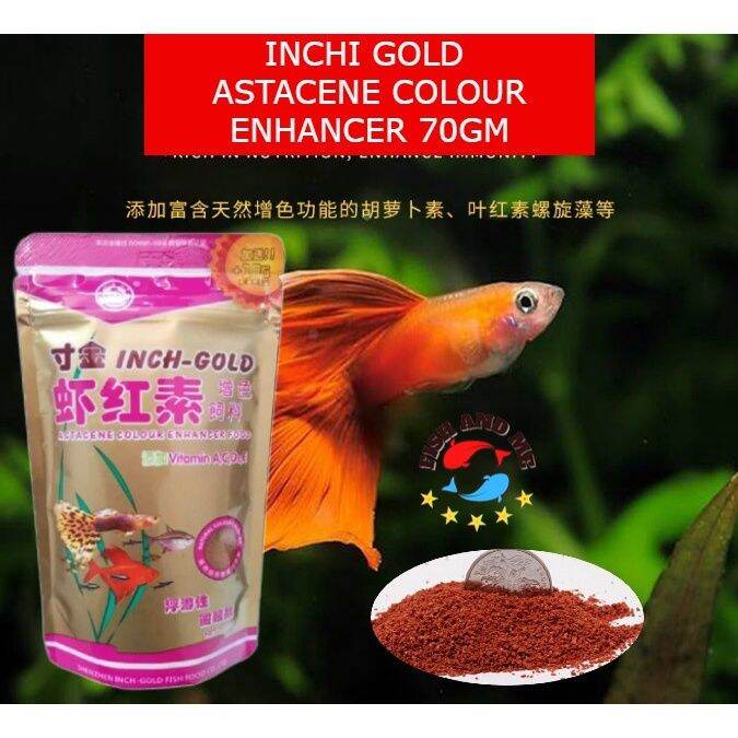 (READY STOCK)InchGold Astacene Colour Enhancer Floating Guppy Food