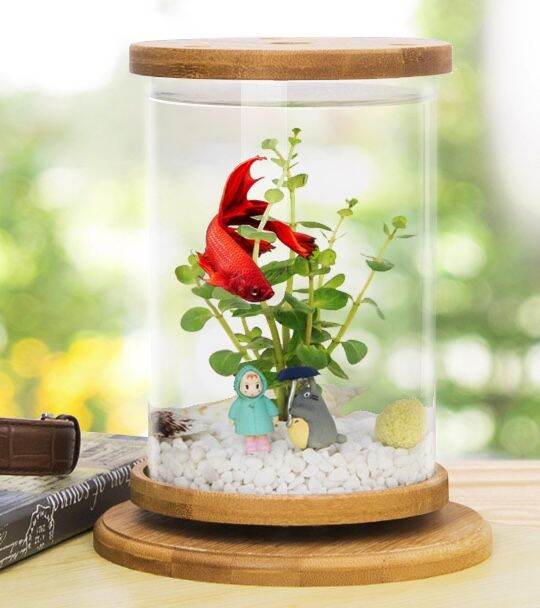 betta shrimp opae ula nano tank rotating deskop top glass wood aquarium