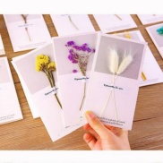 Premium Dried flowers card happy birthday gift love home day-Hause