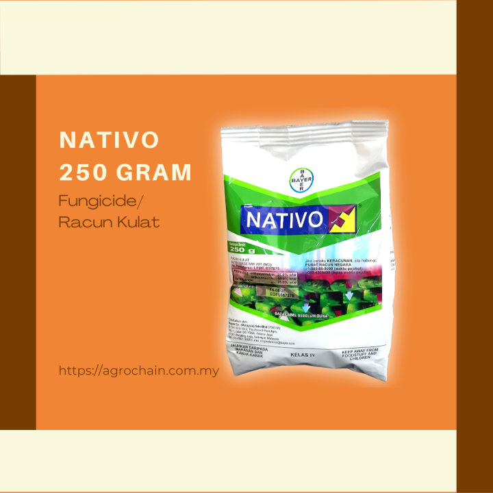 Navita Racun BAYER - NATIVO 250 GRAM (RACUN KULAT/杀菌剂/FUNGICIDE) | Lazada