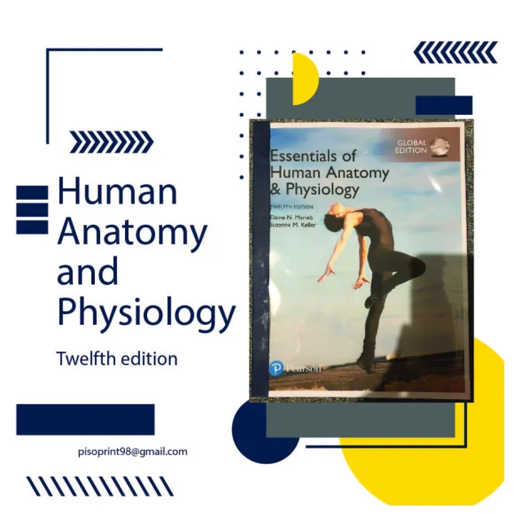 Essentials Of Human Anatomy & Physiology By Marieb 12th Edition | Lazada PH