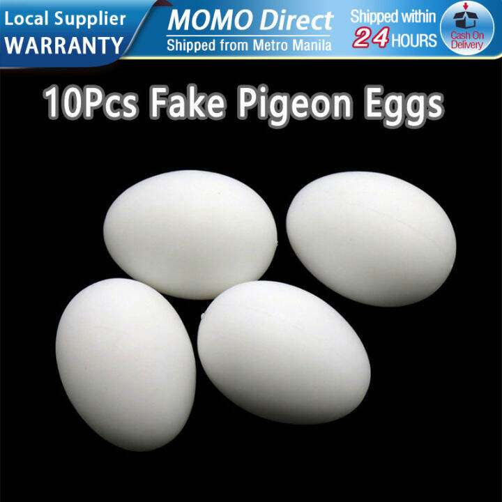 10Pcs Fake Pigeon Eggs Plastic Pigeon Egg Simulation Pigeon Hatching
