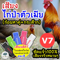 เสียงไก่ป่าตัวเมีย V.7 (ก๋อยหาคู่+กระต๊าก) เมม/แฟลชไดร์ฟเสียงไก่ป่าตัวเมียV.7 ชัดแจ๋ว100%ไม่มีโฆษณาแทรก มีเก็บเงินปลายทาง (MP3เสียงต่อสัตว์)