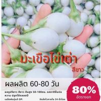 เมล็ดมะเขือเปราะไข่เต่า (ซื้อ 10 แถม 1 คละอย่างได้)