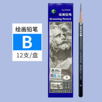 =., Marley Pencil Sketch Carbon Pen Drawing Painting Sketch ถ่านปากกาถ่านแข็งปานกลางนุ่มสีขาวสำหรับผู้เริ่มต้นสำหรับนักเรียนศิลปะ