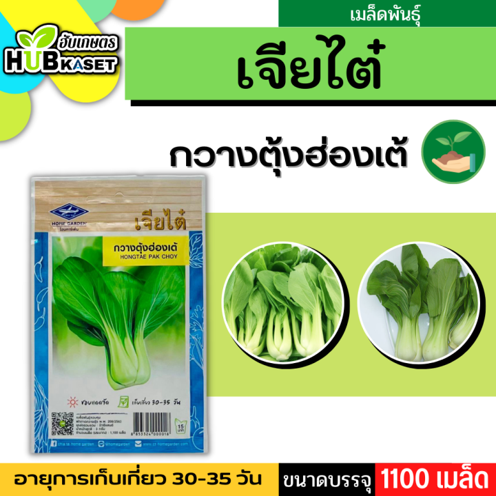 เจียไต๋ 🇹🇭 กวางตุ้งฮ่องเต้ ขนาดบรรจุประมาณ 1100 เมล็ด อายุเก็บเกี่ยว 30-35 วัน