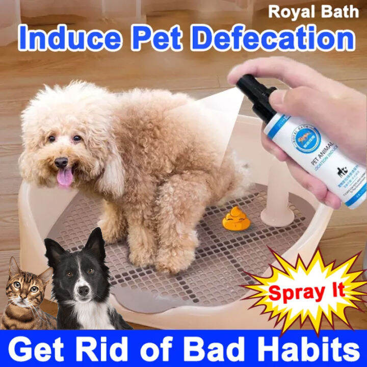 3 Pcs Set Pet Animal Location inducer 100ml Guide Pet to Pee at Fixed Spot Pet Bowel Triggers