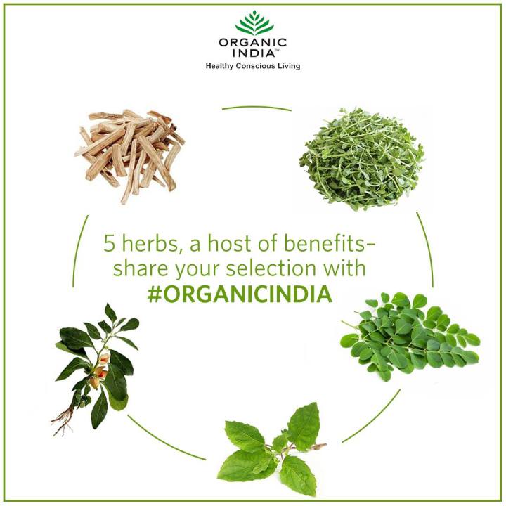 ชาอินเดีย-organic-india-herbal-tea-tulsi-breakfast-ชาสมุนไพรอายุรเวทออร์แกนิค-1-กล่องมี18ซอง-ชาเพื่อสุขภาพนำเข้าจากต่างประเทศ