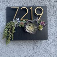 【LZ】✢✔♕  127mm Golden Floating Modern House Number Satin Brass Door Home Address Numbers for House Digital Outdoor Sign Plates 5 In.  B