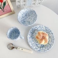 【Hot】 Ins Vintage Splash Baby Blue Ink Marble Salad Flat Picnic Plate Dish Bowl Spoon Ink Mug Dot Cup Korea Popular America Enamel Cup