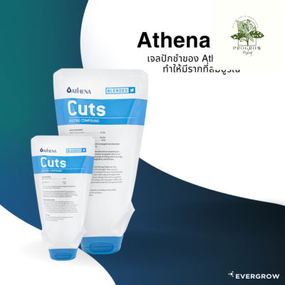 [ready stock]Athena Cuts เป็นเจลเร่งราก ใช้จุ่มที่ปลายของปักชำก่อนที่จะปักลงวัสดุปลูกหรือก้อนร๊อควูมีบริการเก็บเงินปลายทาง