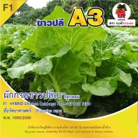 เมล็ดพันธุ์ ผักกาดขาวปลีเบา A3 ซ.1 g.