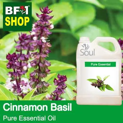 Pure Essential Oil (EO) Basil Cinnamon Basil ( Thai Basil ) Pure