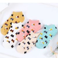 5Pairs New Women Cotton Ankle Socks Cute Cat Colorful Funny Socks Casual Animal Fruit Cake Cartoon Socks For Girls