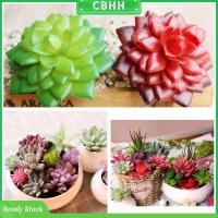 CBHH ต้นไม้ปลอมสดใสของตกแต่งสวนในบ้าน DIY ไม้อวบน้ำประดิษฐ์กระบองเพชรพลาสติก