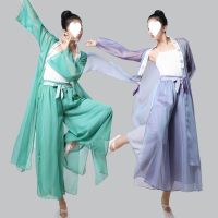 [COD] Chinese style classical dance national practice female embroidery long section outer robe gauze performance suit