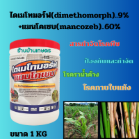 ไดเมโทมอร์ฟ (dimethomorph) 9% + แมนโคเซบ (mancozeb) 60%  ขนาด 1กก. 2พลังบวก สารกำจัดและป้องกันโรคพืช  โรคราน้ำค้าง โรคกาบใบแห้งในนาข้าว การันตี แห้งสน