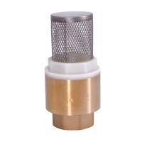 ✕▤✻ 1/2 quot; 3/4 quot; 1 quot; 1-1/4 quot; 1-1/2 quot; 2 quot; 2-1/2 quot; 3 quot; BSP Female Brass Check Valve Non-return With Steel Strainer Filter For Water Plumbing