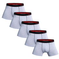 【hot】♛✷◕ 5pcs Pack 2023 Men Panties Cotton Male Brand And Underpants Homme Luxury Set Shorts Gym