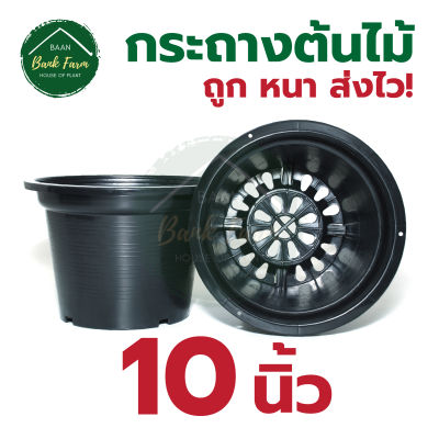 กระถาง10นิ้ว สีดำ คุณภาพดี ราคาถูกมาก แพ็ค 1-25 ใบ กระถางราคาถูก กระถางพลาสติก กระถางต้นไม้ กระถางกลม