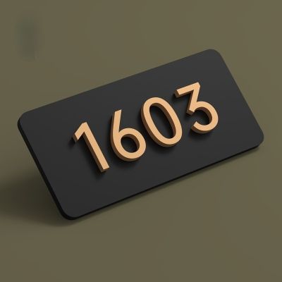 Acrylic Modern Door Plates Shop Sign Customized Personal Number for Office Home Flats Restaurant with Floating Golden No.