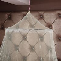 【LZ】  New Summer Elegant Hung Dome Mosquito Net For Double Bed Summer Polyester Mesh Fabric Home Bedroom Baby Adults Mesh Mosquito NetTH