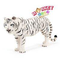 Monkey Toys - โมเดลสัตว์ Tiger เสือโคร่ง เผือก ขนาด 22.00 CM (จากหาดใหญ่)