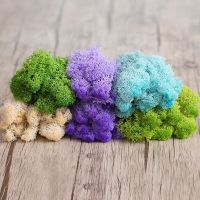 20/40g Natural Norwegian Reindeer Moss Preserved Dried Craft Flower Stamen Decoration Wedding Ornament Fairy Garden Decor Access Electrical Connectors